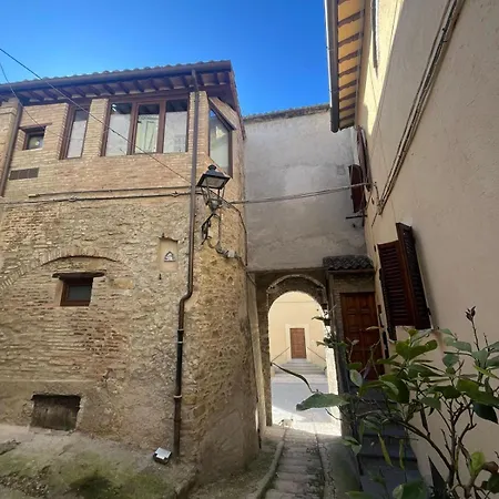 Tia Casa